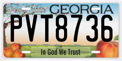 GA license plate PVT8736