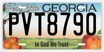 GA license plate PVT8790