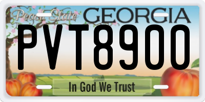 GA license plate PVT8900