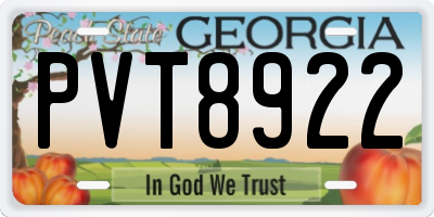 GA license plate PVT8922