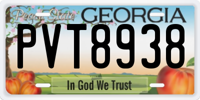 GA license plate PVT8938