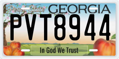 GA license plate PVT8944