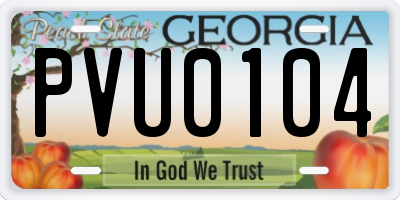 GA license plate PVU0104
