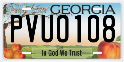 GA license plate PVU0108