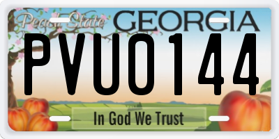 GA license plate PVU0144