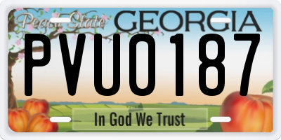 GA license plate PVU0187