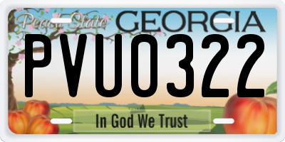 GA license plate PVU0322