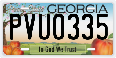 GA license plate PVU0335