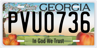 GA license plate PVU0736