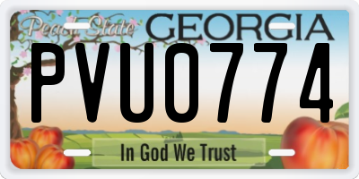 GA license plate PVU0774
