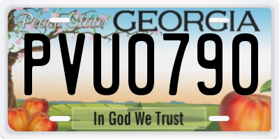 GA license plate PVU0790