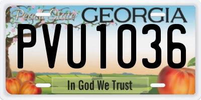 GA license plate PVU1036