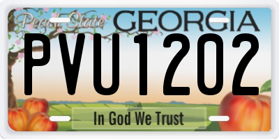 GA license plate PVU1202