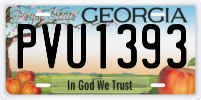 GA license plate PVU1393