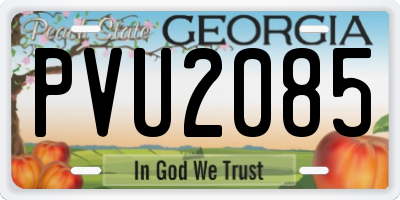 GA license plate PVU2085