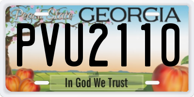 GA license plate PVU2110