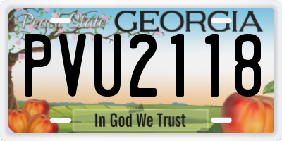 GA license plate PVU2118