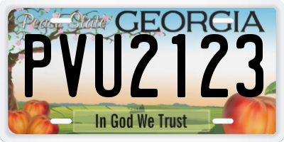 GA license plate PVU2123