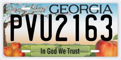 GA license plate PVU2163