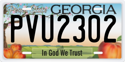 GA license plate PVU2302