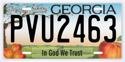 GA license plate PVU2463