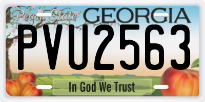 GA license plate PVU2563