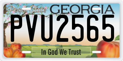 GA license plate PVU2565