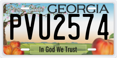 GA license plate PVU2574