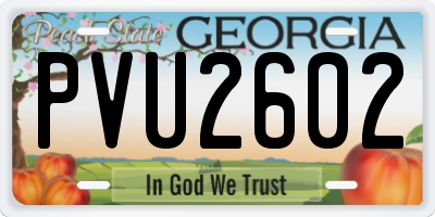 GA license plate PVU2602