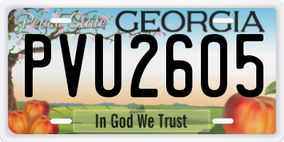 GA license plate PVU2605