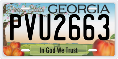 GA license plate PVU2663