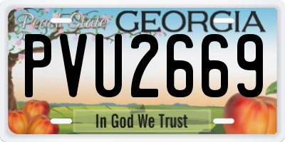 GA license plate PVU2669