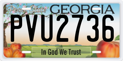 GA license plate PVU2736