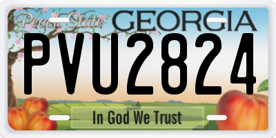 GA license plate PVU2824