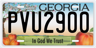 GA license plate PVU2900