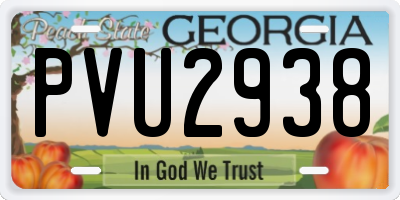 GA license plate PVU2938