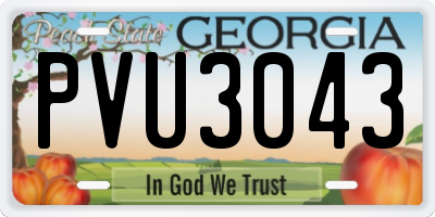 GA license plate PVU3043