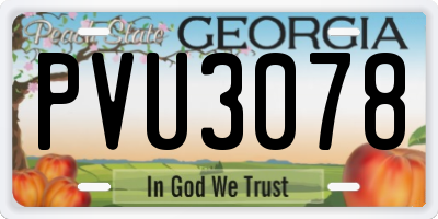 GA license plate PVU3078