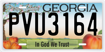 GA license plate PVU3164