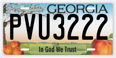 GA license plate PVU3222