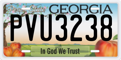 GA license plate PVU3238