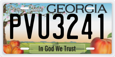 GA license plate PVU3241