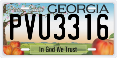 GA license plate PVU3316