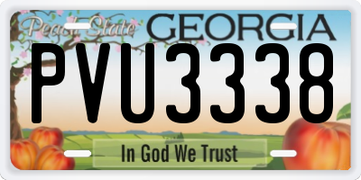 GA license plate PVU3338