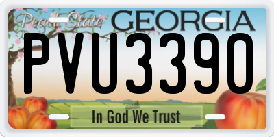 GA license plate PVU3390