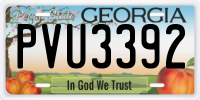GA license plate PVU3392
