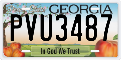 GA license plate PVU3487