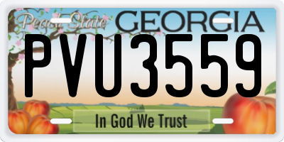 GA license plate PVU3559