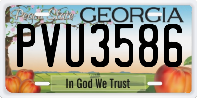 GA license plate PVU3586