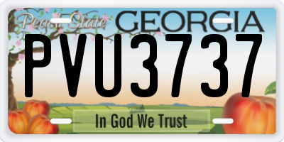 GA license plate PVU3737